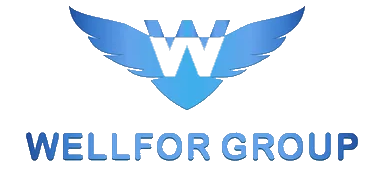 Wellfor Logo